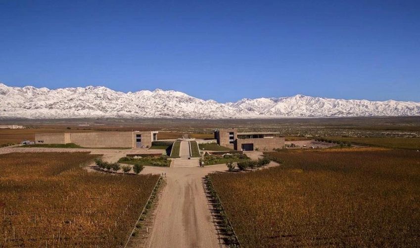 O restaurante Diam’s está dentro da Bodega Diamandes e tem inspiração em bistrôs franceses / Divulgação