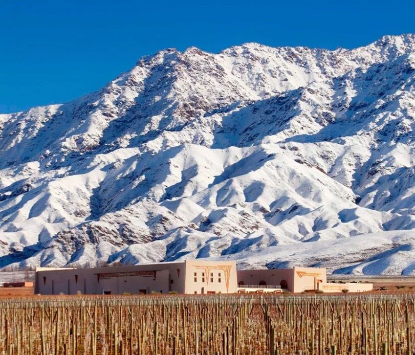 Flecha de Los Andes é resultado da parceria de dois franceses experientes no mundo do vinho / Reprodução site
