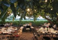 Onde comer na região de Luján de Cuyo, em Mendoza