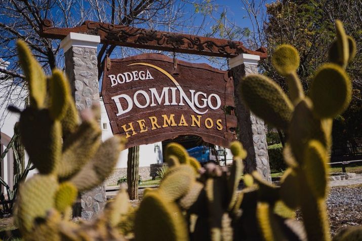 Bodega Domingo Hermanos oferece visitas guiadas na propriedade em Cafayate / Reprodução/Instagram