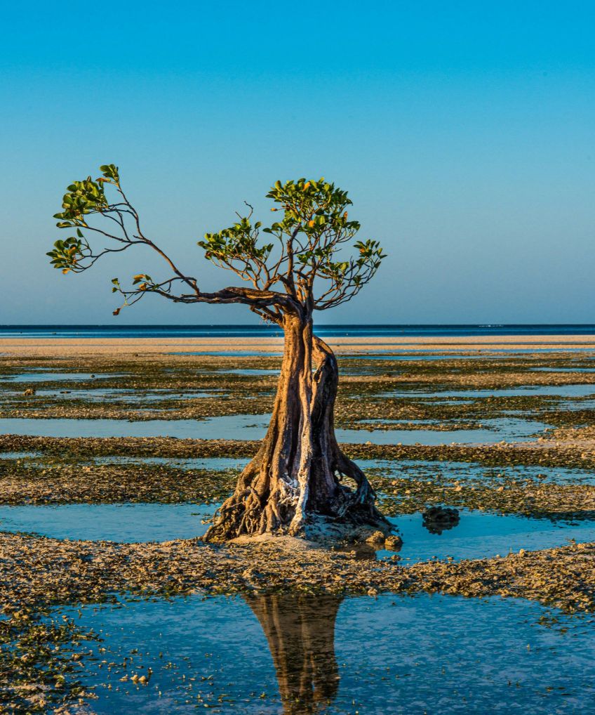 Praia walakiri e regência do Sumba oriental, Indonesia / sutirta budiman/Unsplash