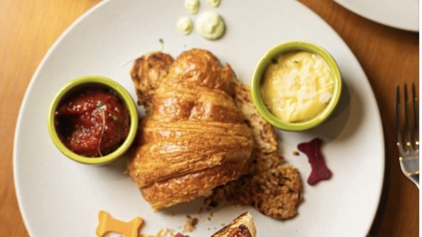 Pets são bem-vindos no Pet Café, aberta todos os dias para café, almoço e brunch • Reprodução/Instagram